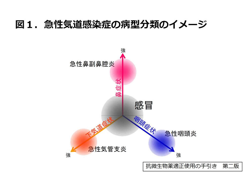 図１